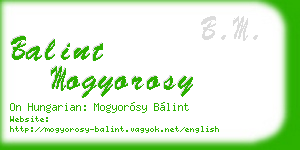 balint mogyorosy business card